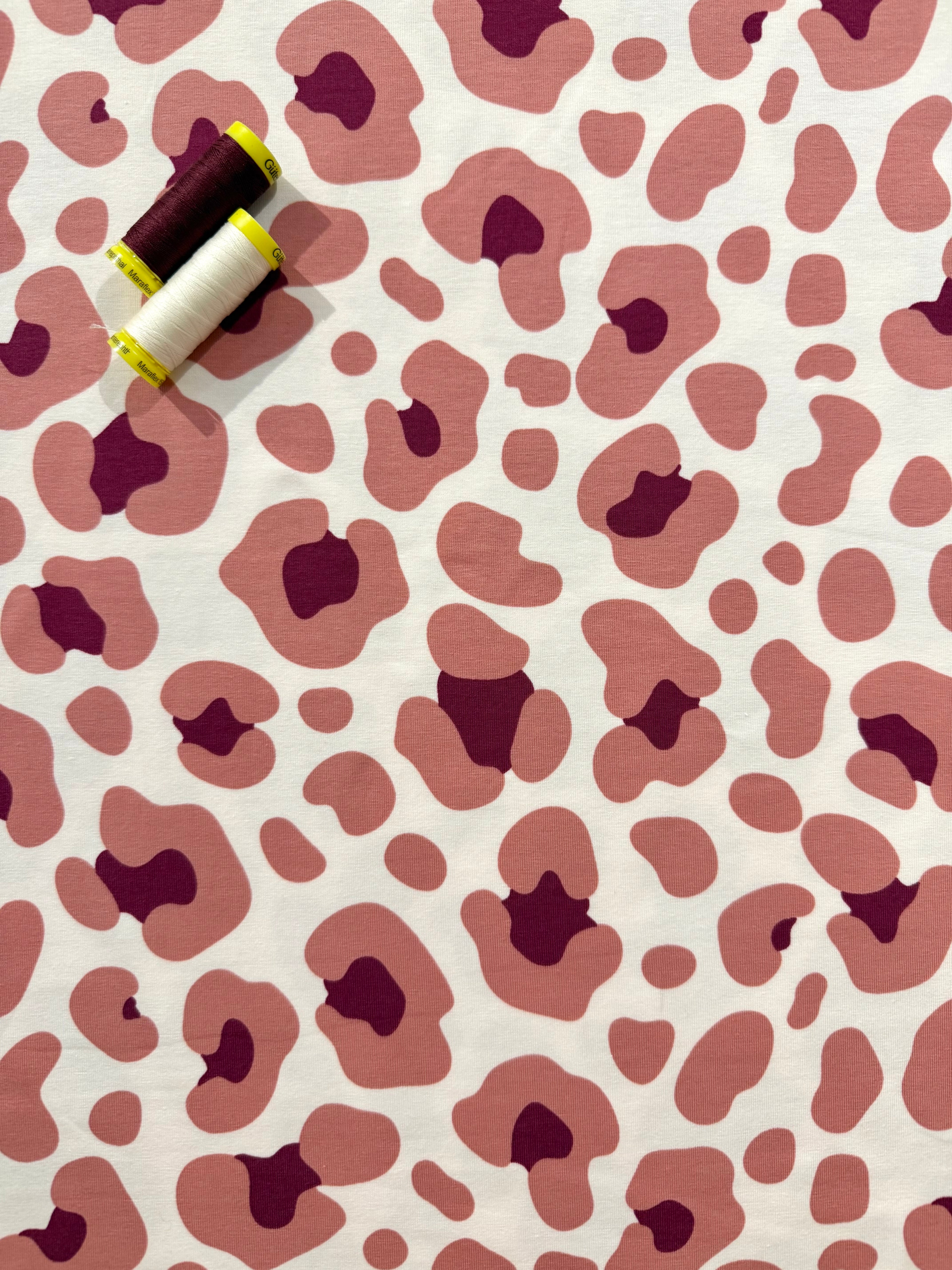 Charlotte Cotton Jersey