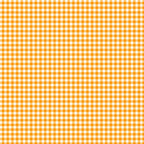 Ghostly Garden Orange Gingham 2/101990 by KP Creates for Andover Fabrics