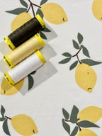 Limonata Cotton Jersey