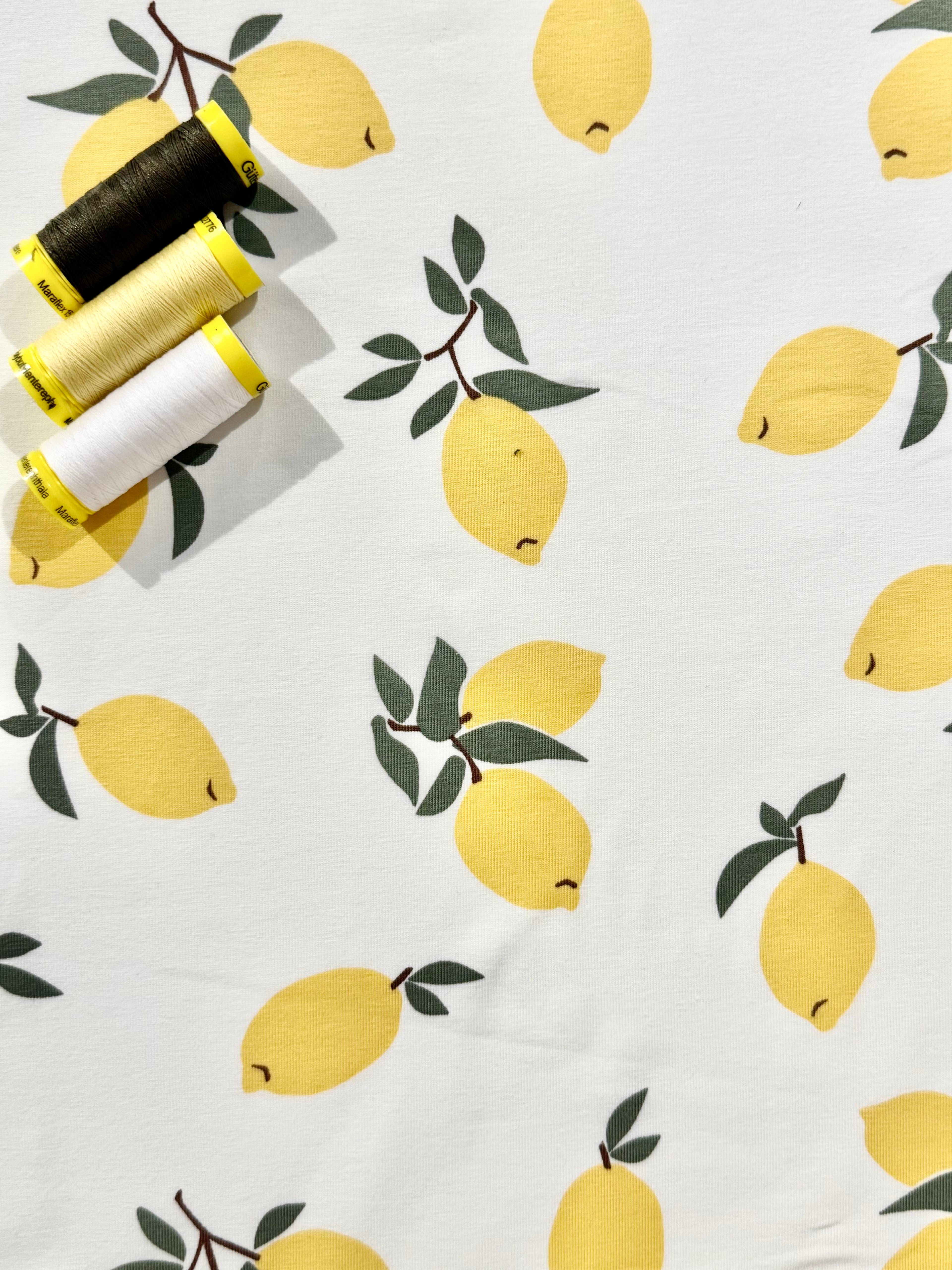 Limonata Cotton Jersey