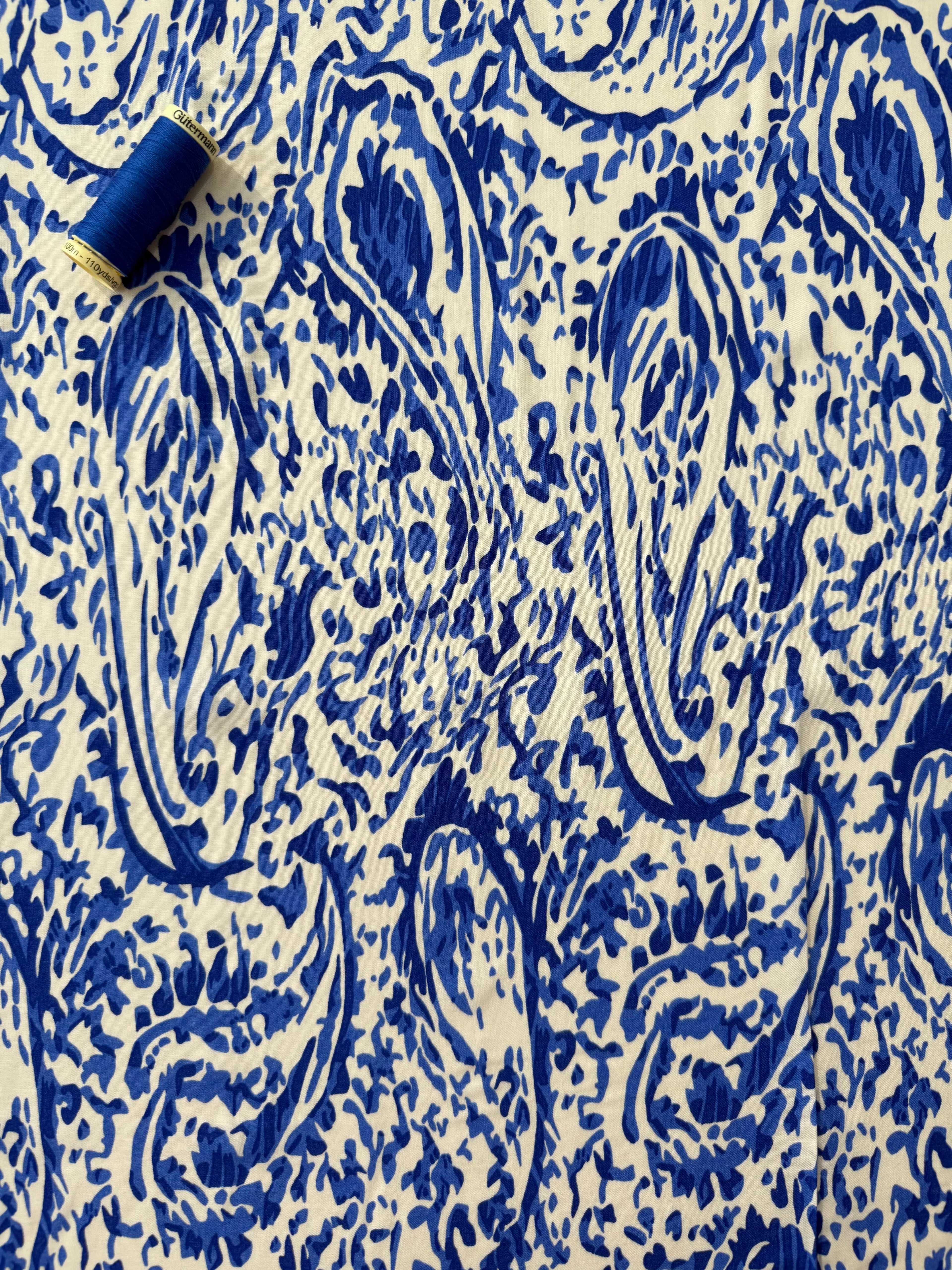 Pretty Paisley Viscose