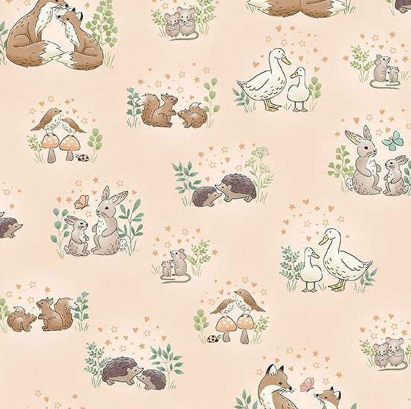 Little Ones - Hugs Coral 189/C - By Makower UK