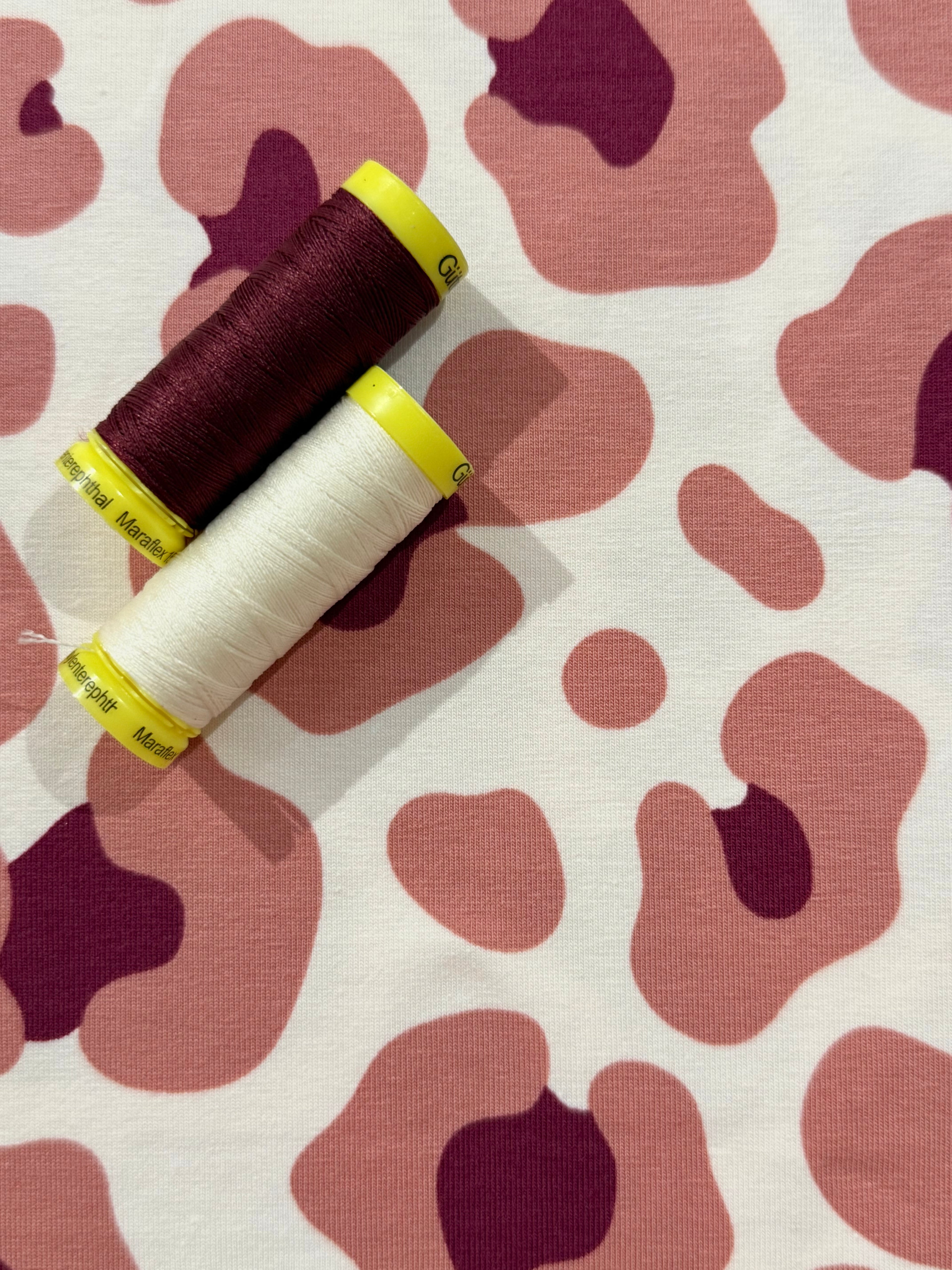 Charlotte Cotton Jersey