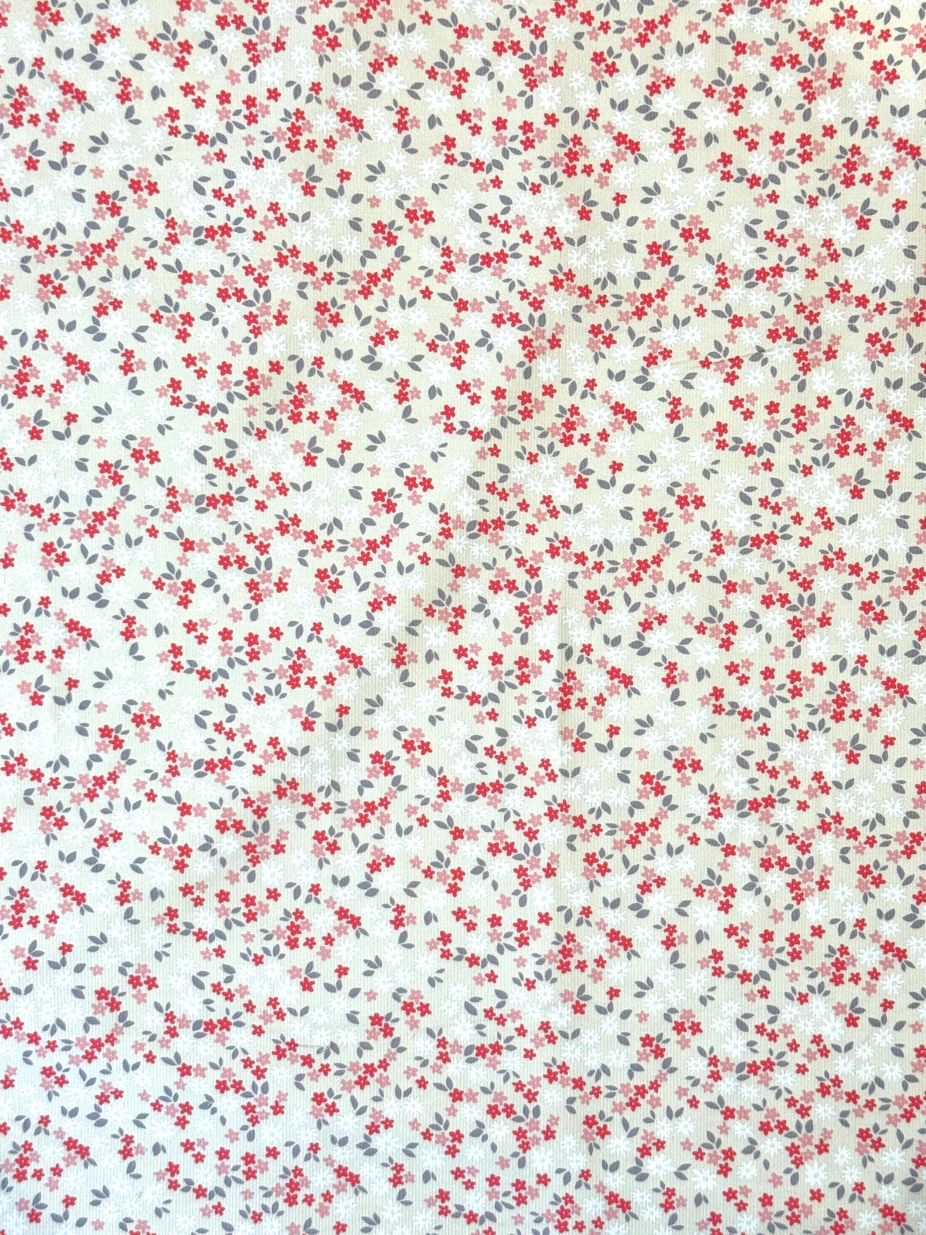 Alice 21 Wale Non Stretch Cotton Needlecord