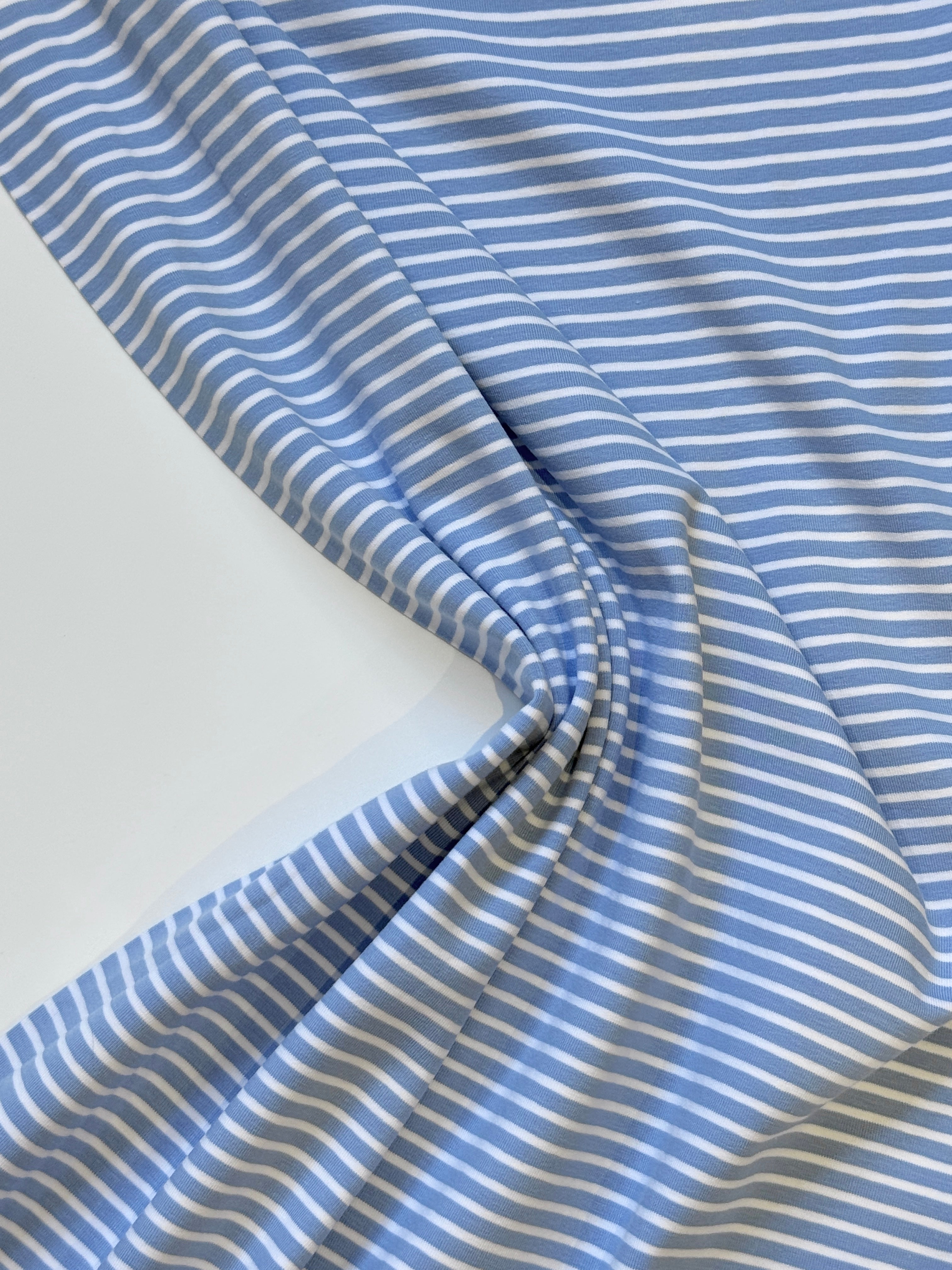 Yarn-Dyed Cotton Jersey Stripe - Pale Blue/White