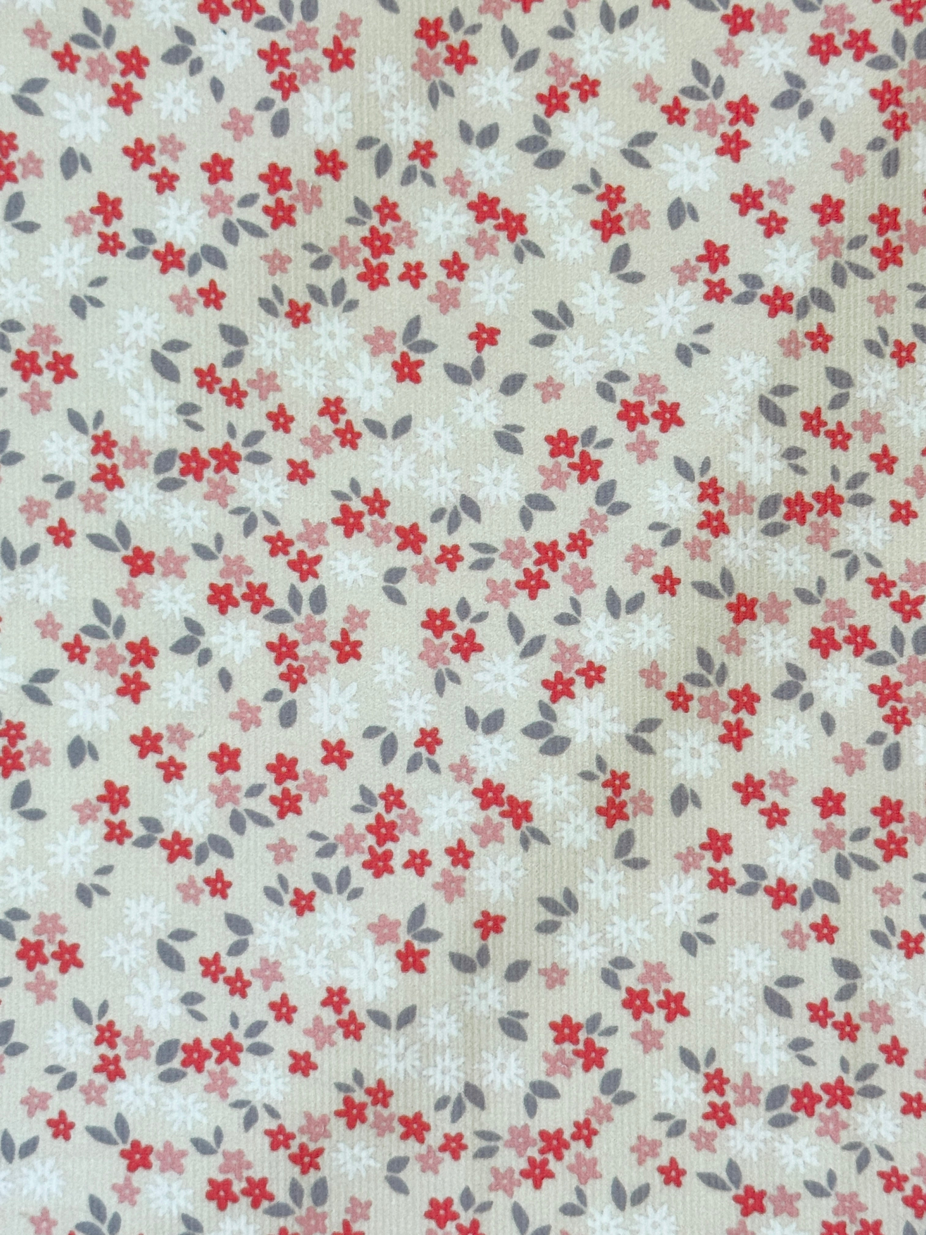 Alice 21 Wale Non Stretch Cotton Needlecord