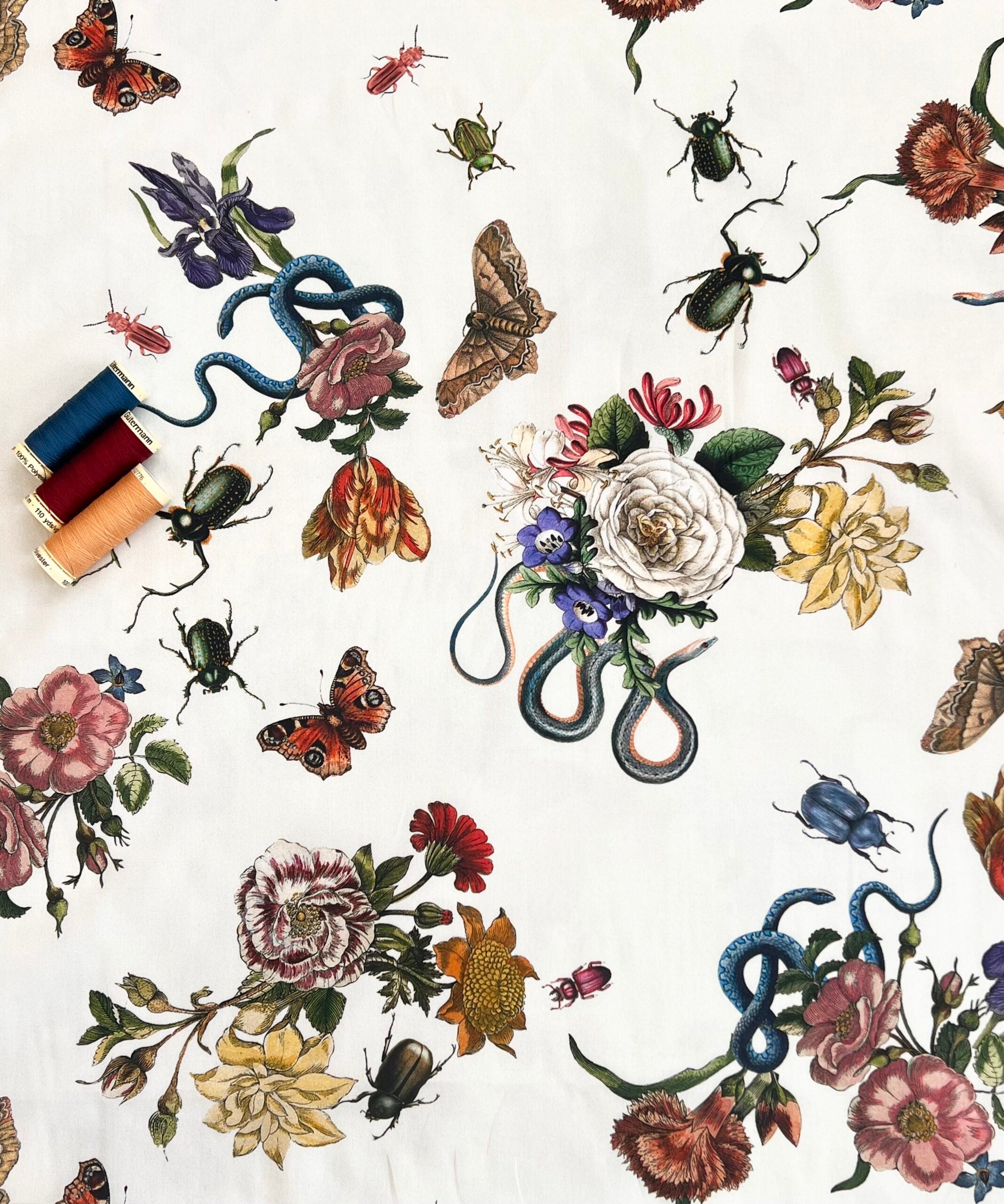 Lady McElroy Cobra Corsage Chantilly Cream Cotton Marlie Lawn