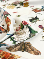 Lady McElroy Cobra Corsage Chantilly Cream Cotton Marlie Lawn