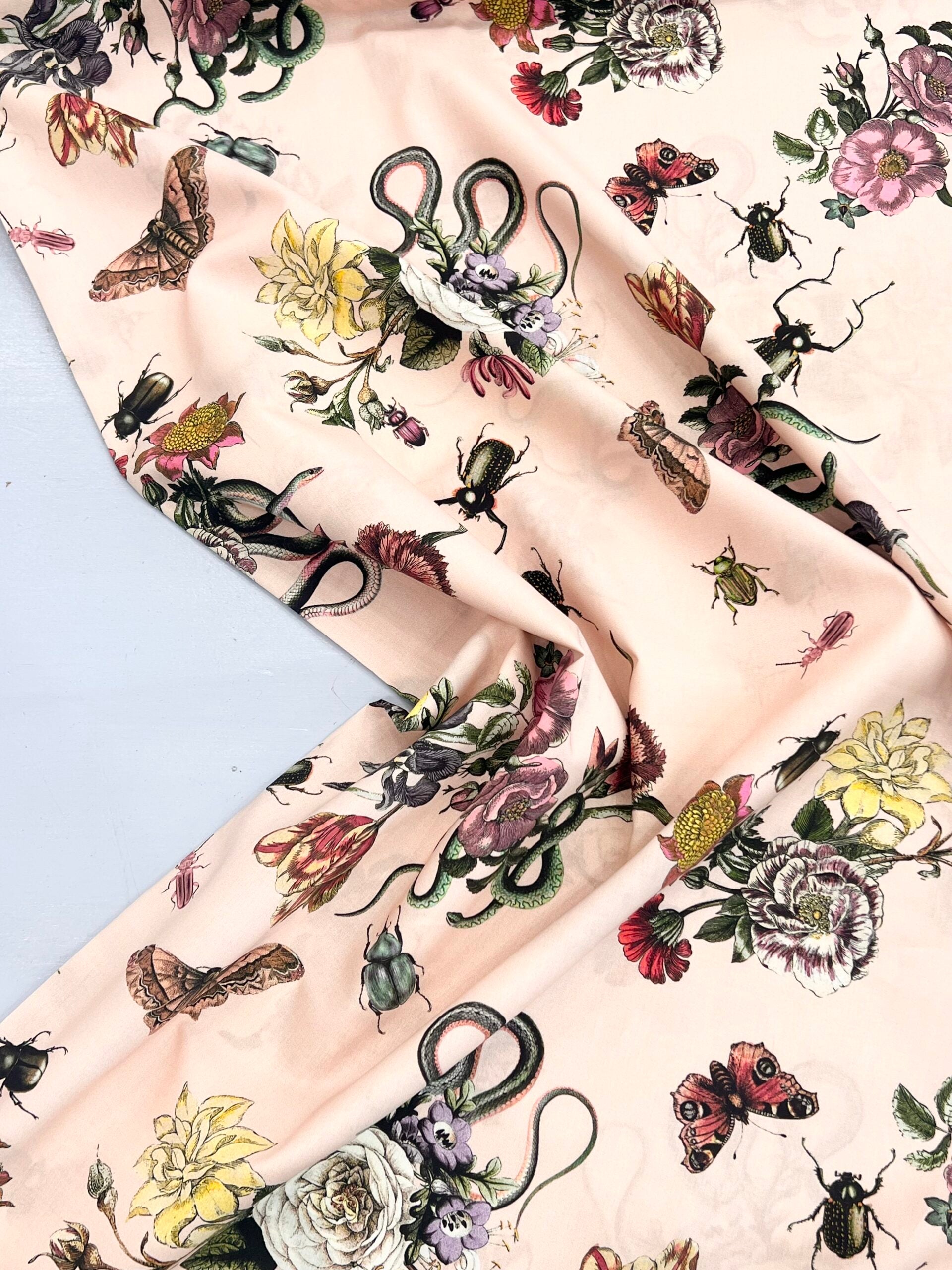 Lady McElroy Cobra Corsage Blush Cotton Marlie Lawn