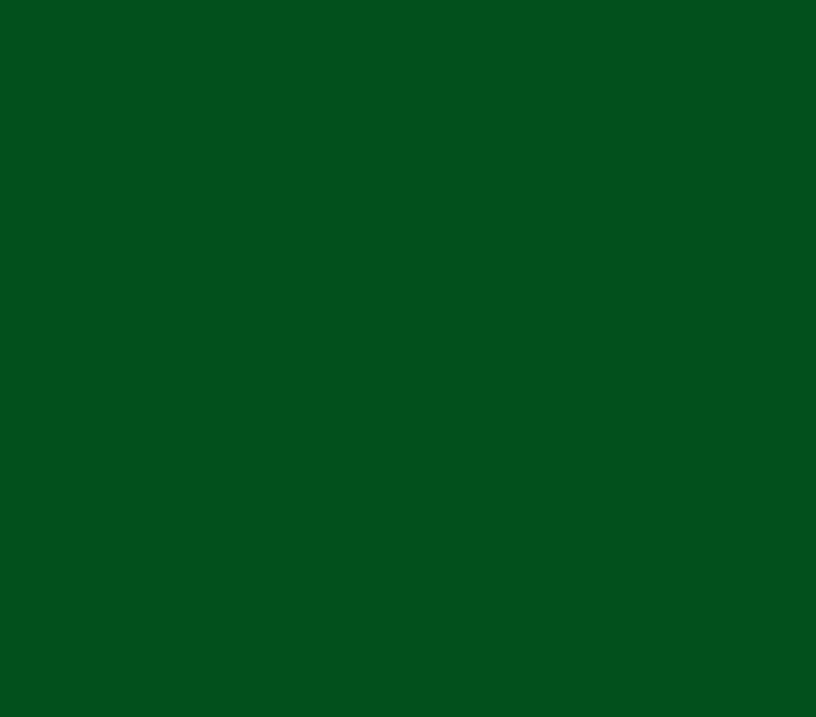 Spectrum Cotton Solids By Makower UK Foliage Green 2000/G04