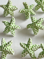 Pale Green Starfish Shank Buttons
