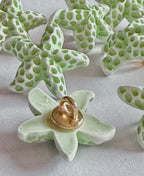 Pale Green Starfish Shank Buttons
