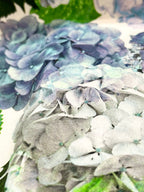 Lady McElroy Hydrangea Story Cotton Marlie Lawn 60cm Remnant