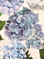 Lady McElroy Hydrangea Story Cotton Marlie Lawn 60cm Remnant