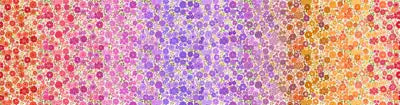 Lewis & Irene – Berry Boho Blooms Ombré Cotton (OM3B)